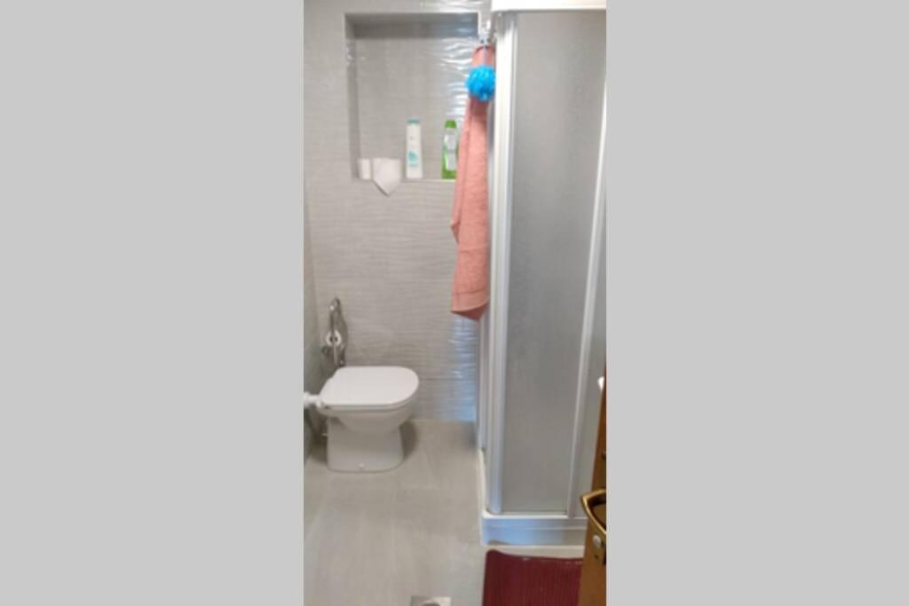 Zrm Center Apartment Идрия Екстериор снимка